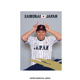 2026年2月侍ジャパン　ブロマイド（1枚入）