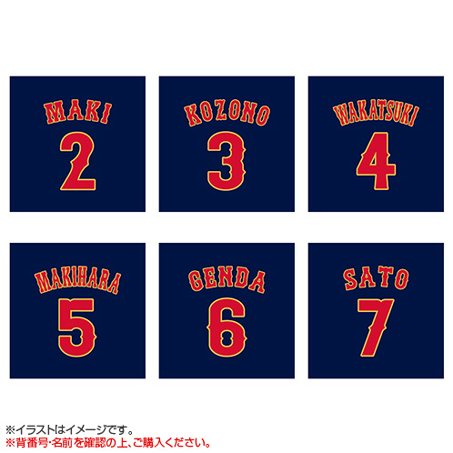 World Baseball Classic 2026 選手名入りレプリカユニホーム（ビジター